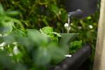 noa potager sur pied living noir